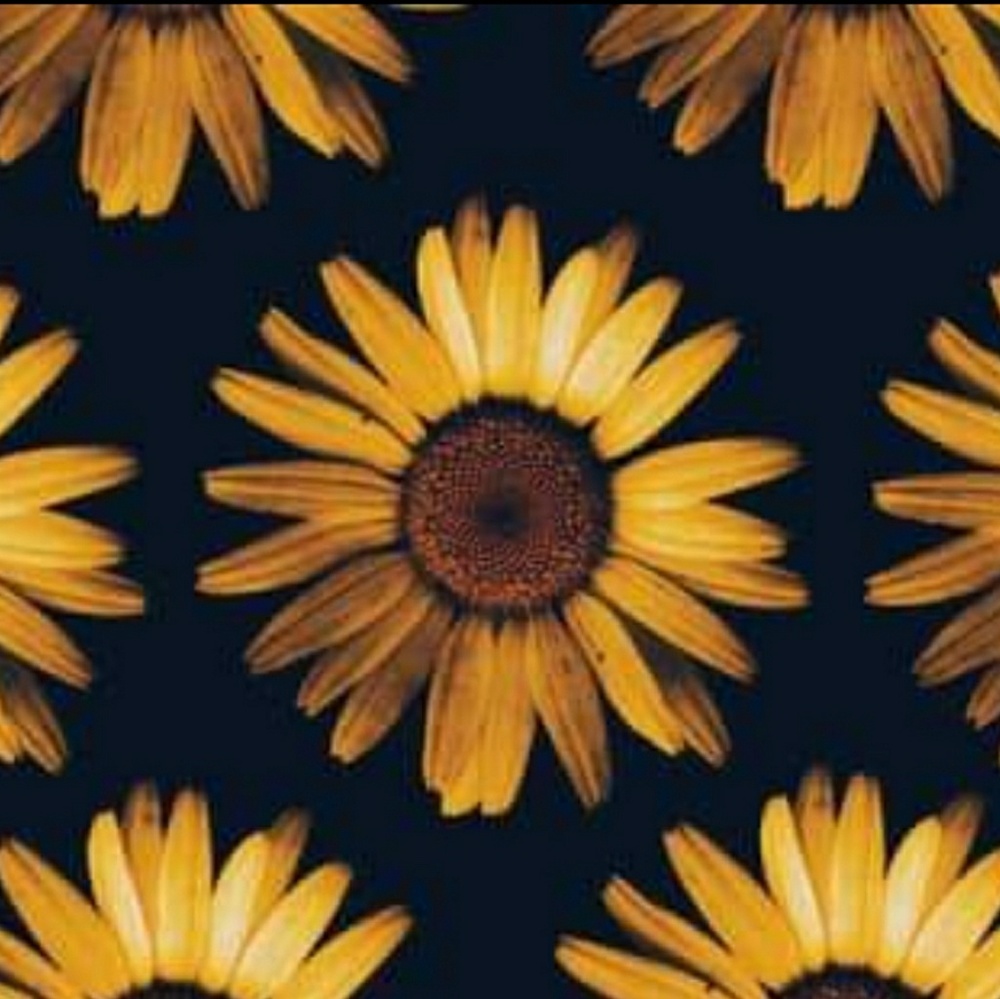 Meet your Posher, Ana